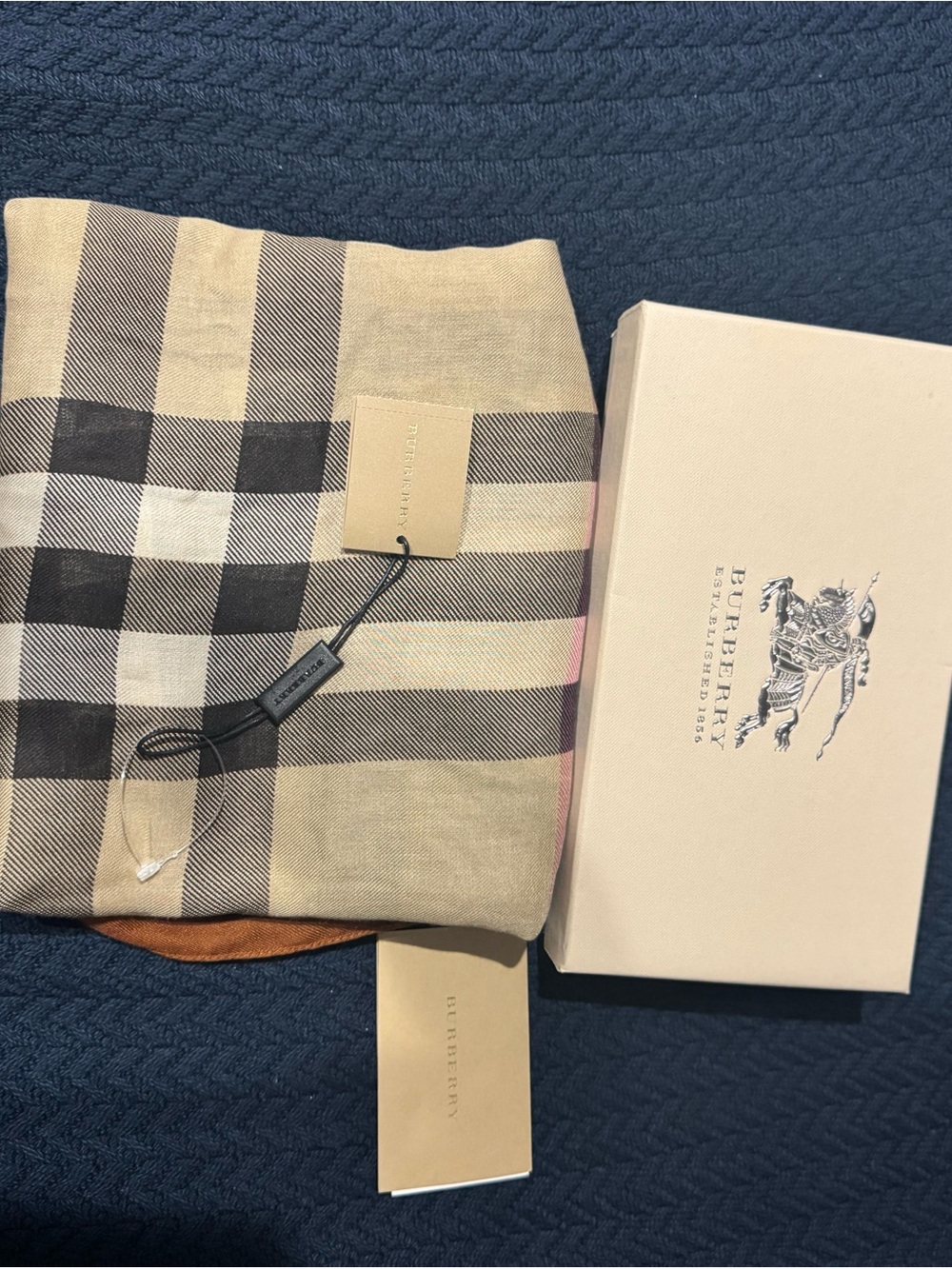 Burberry Classic Check Cashmere Scarf in Beige, Black, brown
